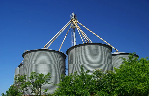 Silage - warehouse for the storage of bulk materials — Stock Photo, Image