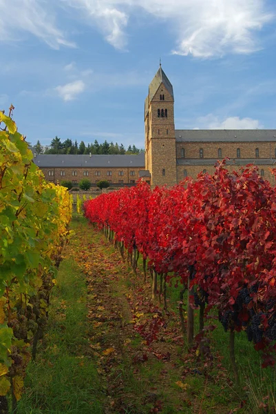 Ruedesheim eibingen Manastırı — Stok fotoğraf