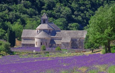 senank - Fransa cistercian Manastırı