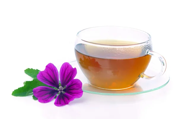 Tea malva — Stock Photo, Image