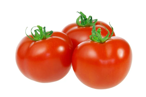 Закри томатний — стокове фото