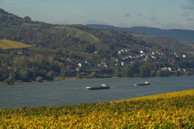 nehir boyunca feribot yelken