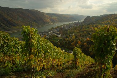 Oberwesel, Almanya
