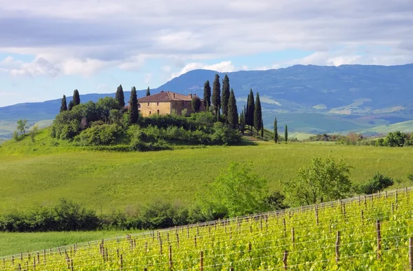 Tuscany hus och Cypress träd — Stockfoto