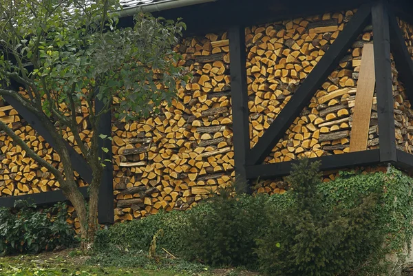 Стек древесины — стоковое фото