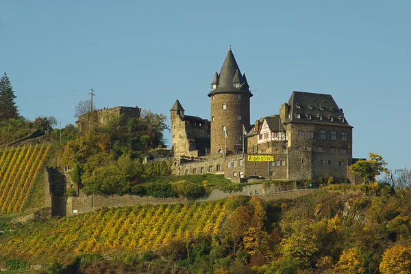 Stahleck Castle — Stock Photo, Image