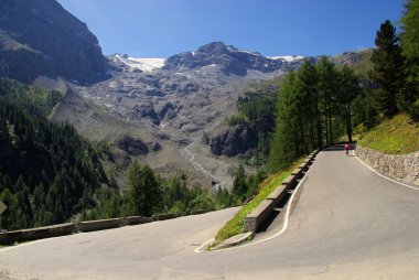 Stelvio geçidi yolu