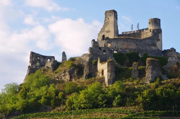 Schloss Senftenberg — Stockfoto