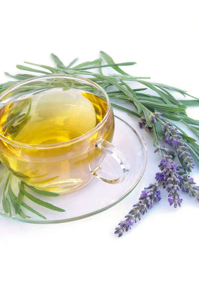 Lavender tea — Stock Photo, Image