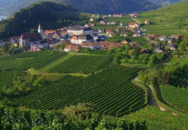 Spitz en Wachau — Foto de Stock