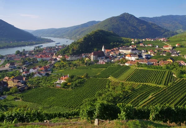 Шпіц в регіоні wachau — стокове фото