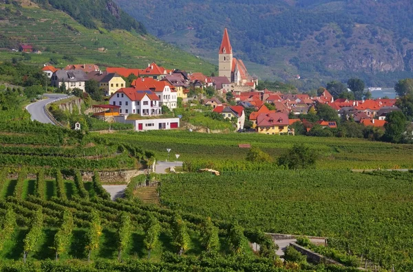 Weissenkirchen in der wachau — Stockfoto