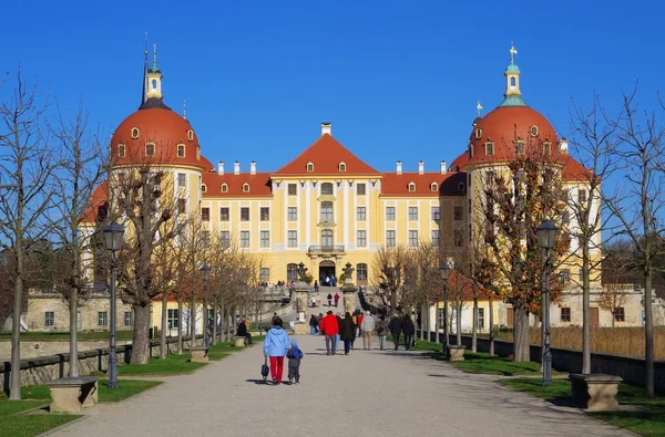 Schloss Moritzburg — Fotografia de Stock