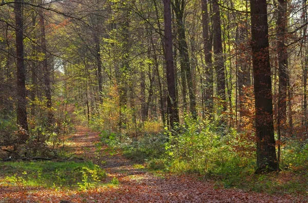 hiking trail