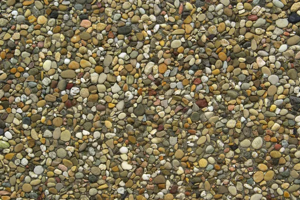 Exposed aggregate concrete — Stock Photo, Image