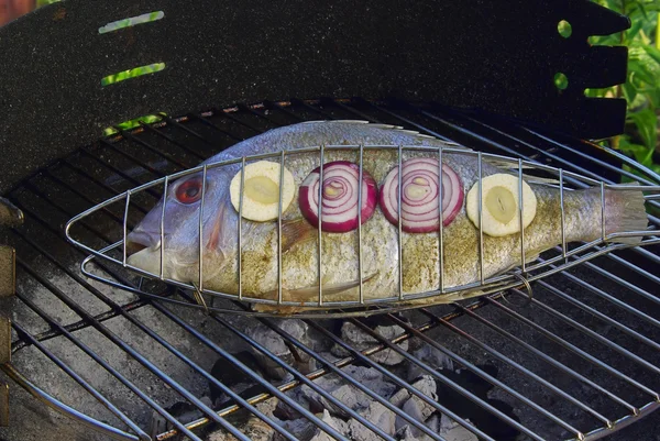 Gilt head bream — Stock Photo, Image