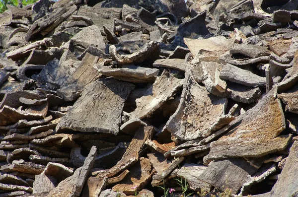 Nahaufnahme aus Kork — Stockfoto