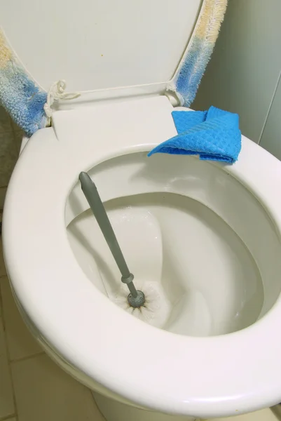 Чистка туалетов — стоковое фото