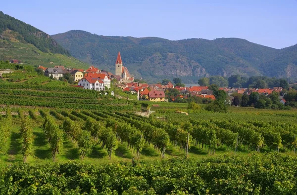 Weissenkirchen в регіоні wachau — стокове фото