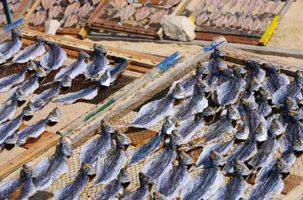 Stockfish — Stock Photo, Image