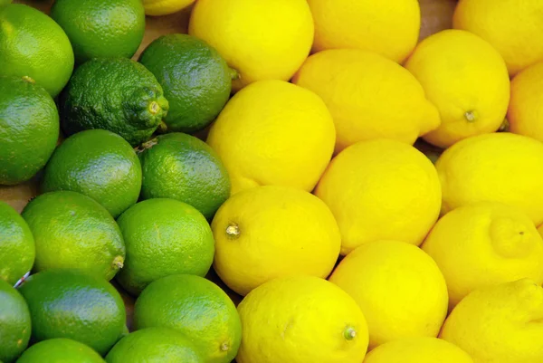 Lime citrous — Stock Photo, Image