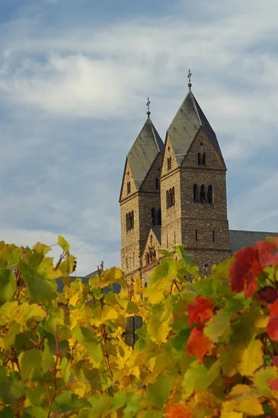 Rüdesheim eibingen abbey — Stockfoto