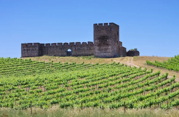 Évora Castelo de Valongo — Fotografia de Stock