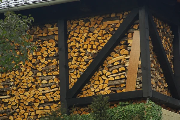 Стек древесины — стоковое фото