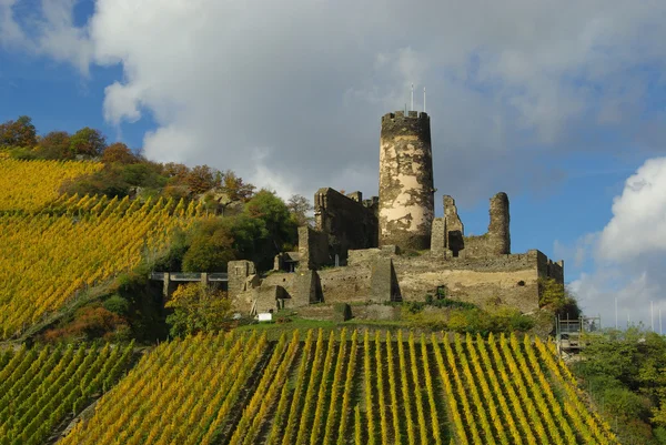 Furstenberg (Weser) - a commune in Germany — Stock Photo, Image