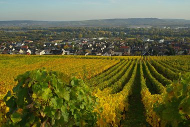 ruedesheim eibingen Manastırı