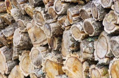 cork meşe ağacından yığını