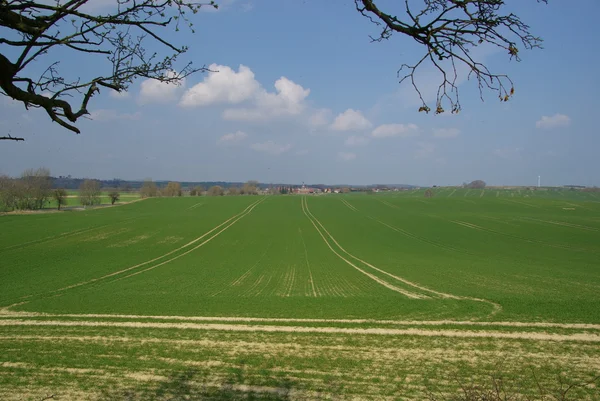 Weergaveveld — Stockfoto