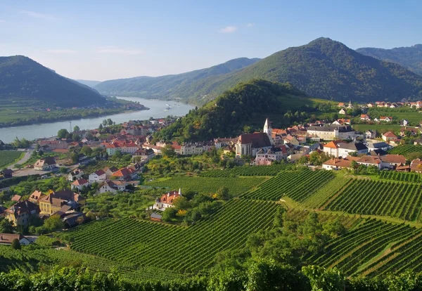 Шпіц в регіоні wachau — стокове фото