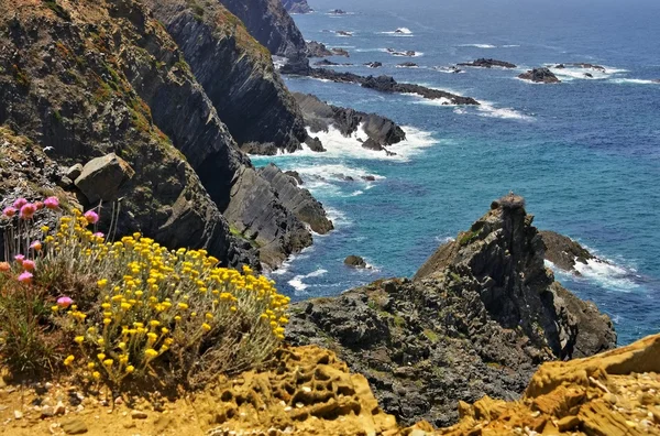 Costa de Cabo Sardao — Foto de Stock