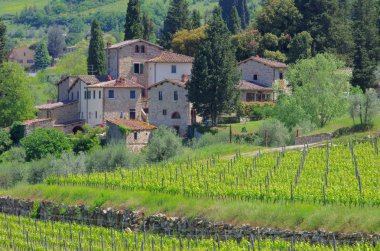 Panzano ın chianti