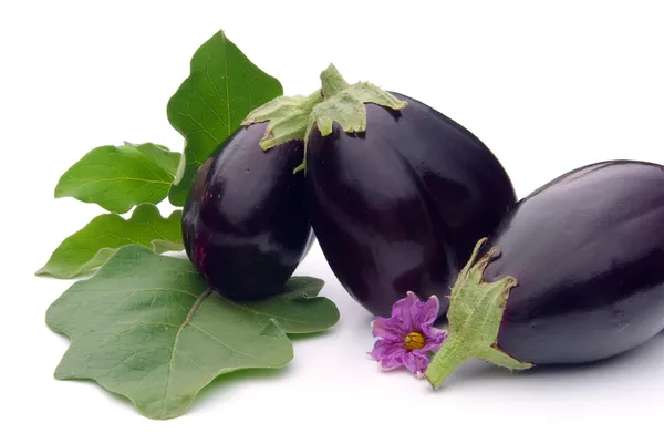 Nahaufnahme Aubergine — Stockfoto