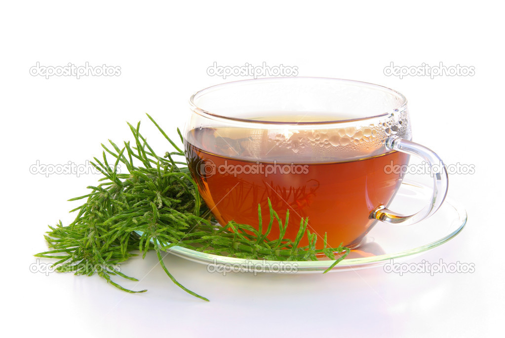 Tea field horsetail