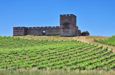 Evora Castelo de Valongo clipart