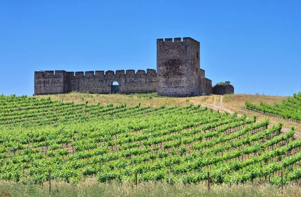Évora Castelo de Valongo — Fotografia de Stock