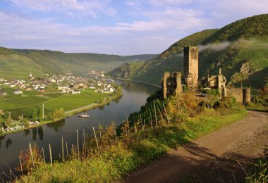 Beilstein kale metternich