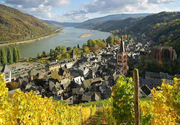 Bacharach — Stockfoto