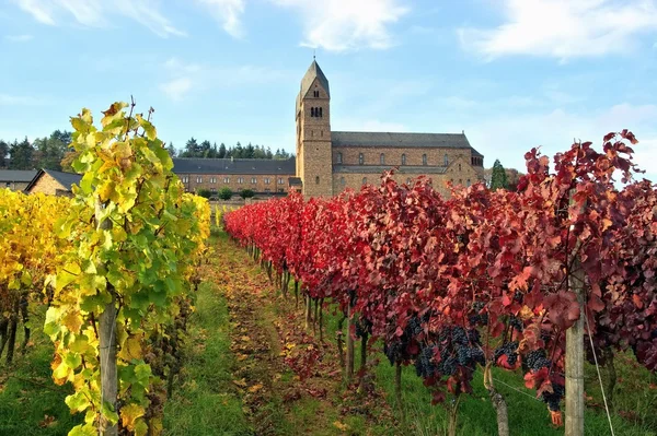 Stift Rüdesheim-Eibingen — Stockfoto