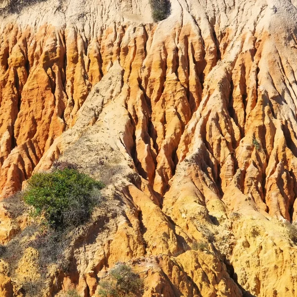 Algarve beach marinha — Stok fotoğraf