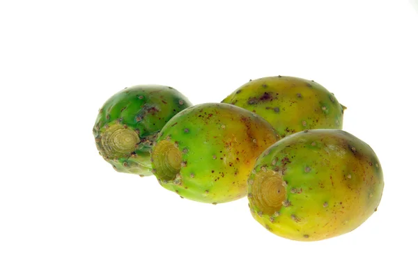 Prickly pear — Stock Photo, Image