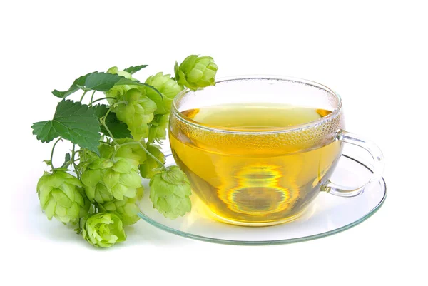 Herbata chmiel — Zdjęcie stockowe