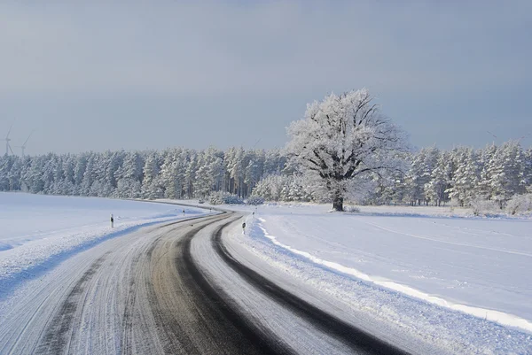 Road in winter — Stock Photo, Image