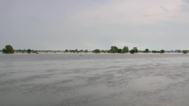 Sungai Elbe banjir — Stok Video