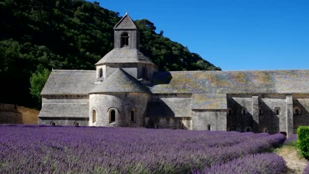 Senanque