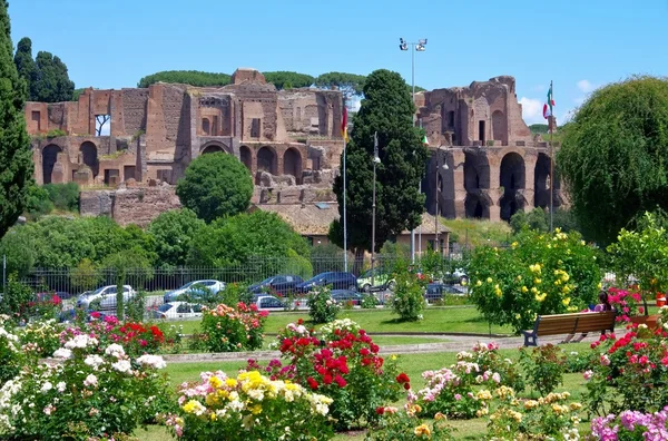 Rom terme di massenzio — Stockfoto