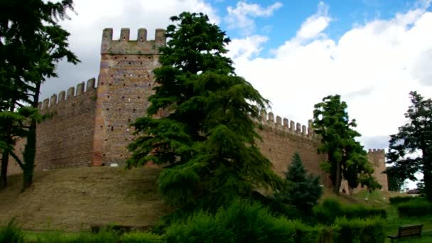 Villafranca di Verona Castello — Stok video